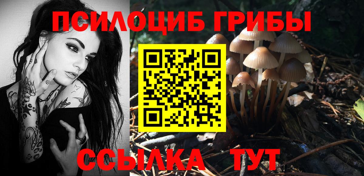 Коркино  Псилоцибиновые грибы прущие грибы  Вход с VPN 