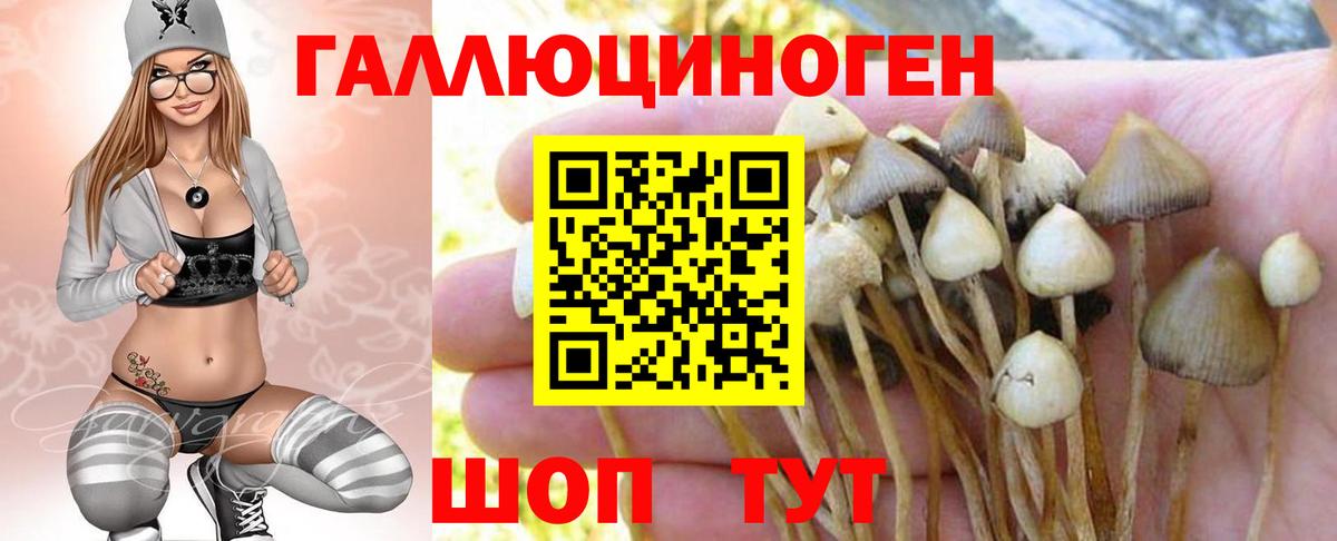 Галлюциногенные грибы MAGIC MUSHROOMS Коркино